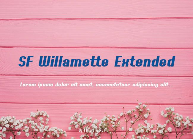 SF Willamette Extended example